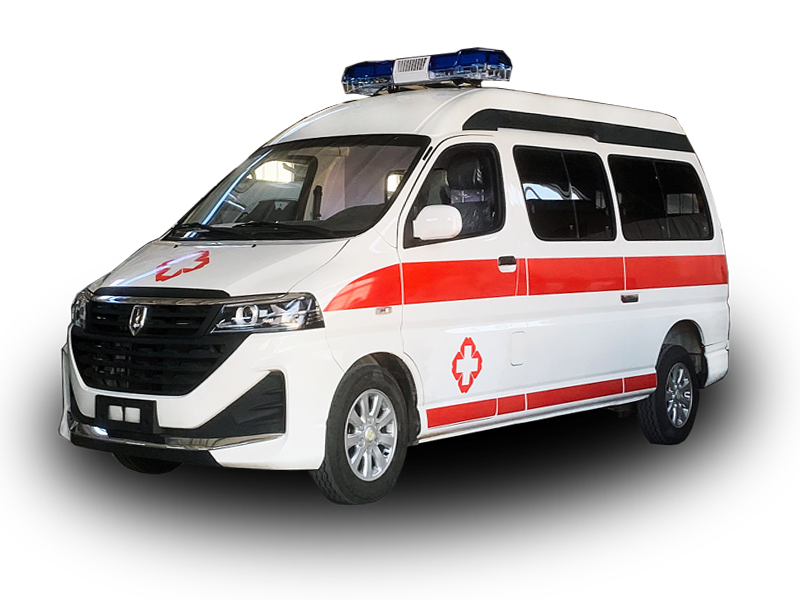 金杯海獅王救護車